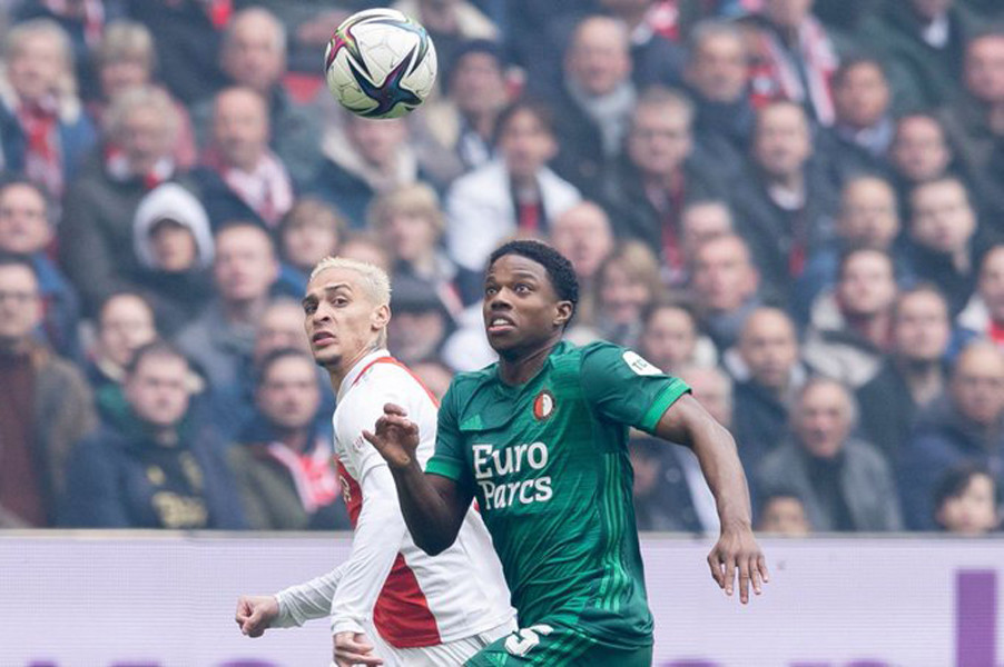 他们将有机 他们将有机