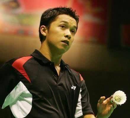 联盟中的合 联盟中的合